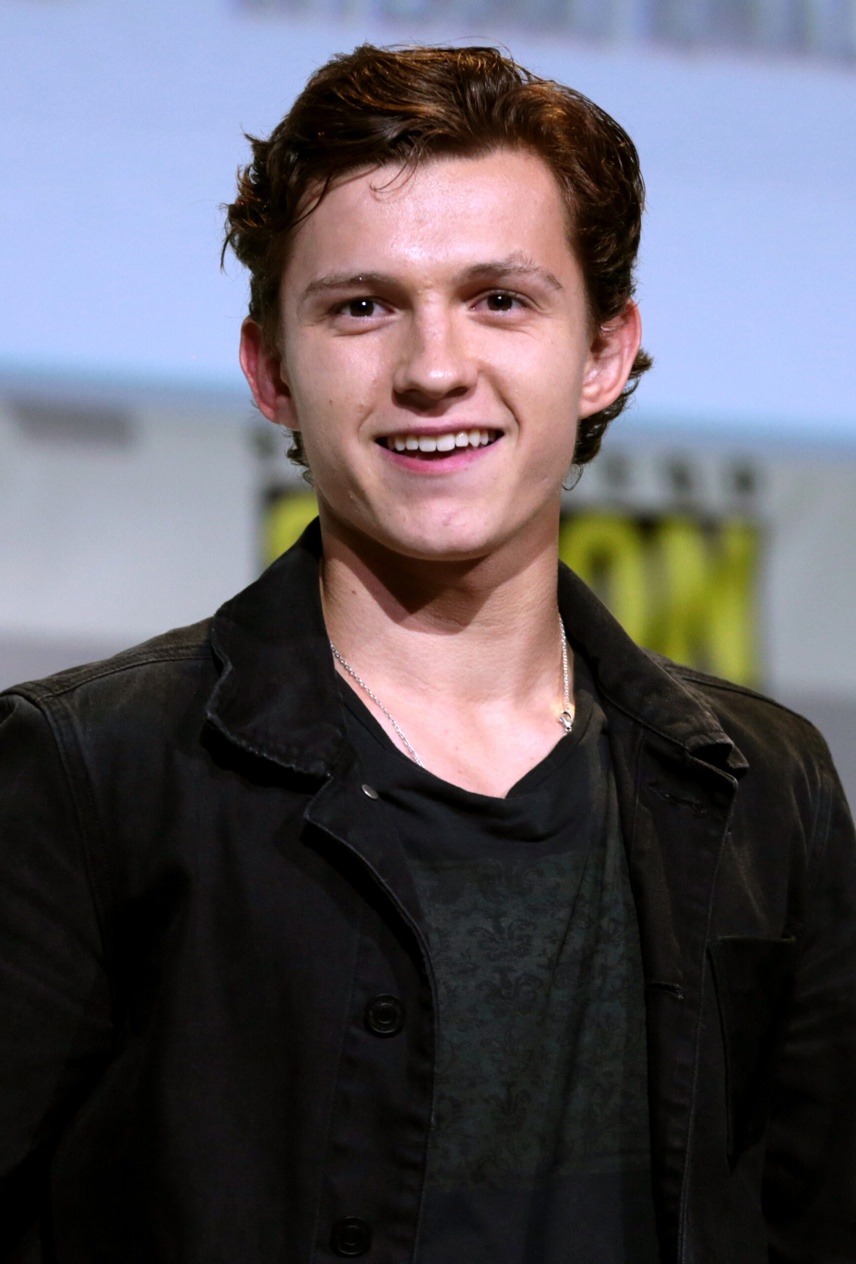 Read more about the article Tom Holland